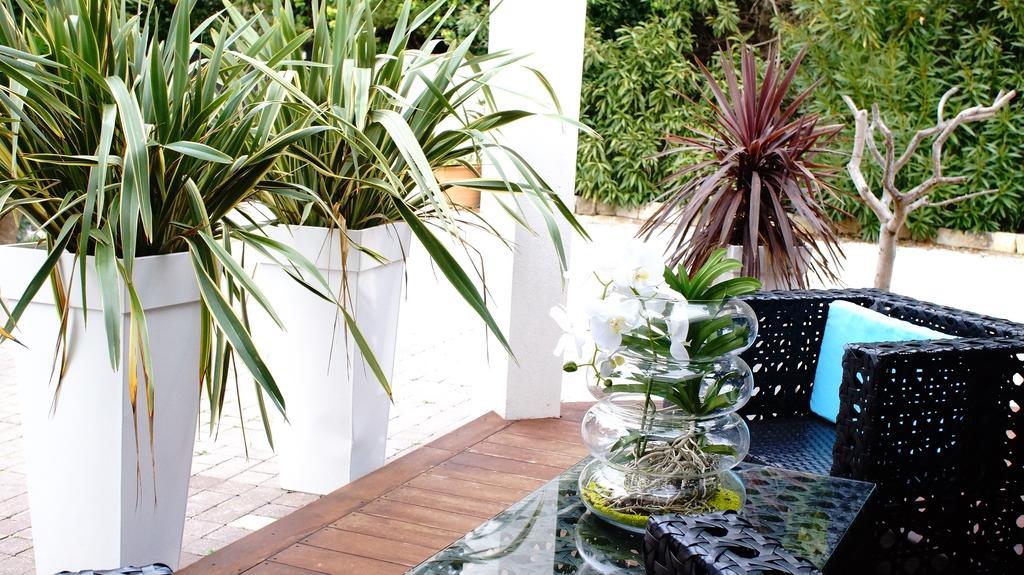La Villa Blanche Sanary-sur-Mer Phòng bức ảnh