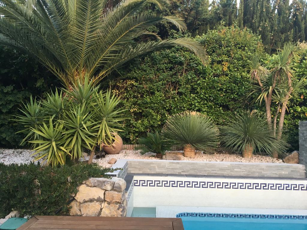 La Villa Blanche Sanary-sur-Mer Ngoại thất bức ảnh